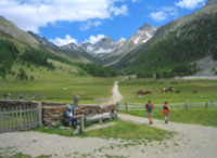 Reisewege – Pyrenäen das Land des Canigou